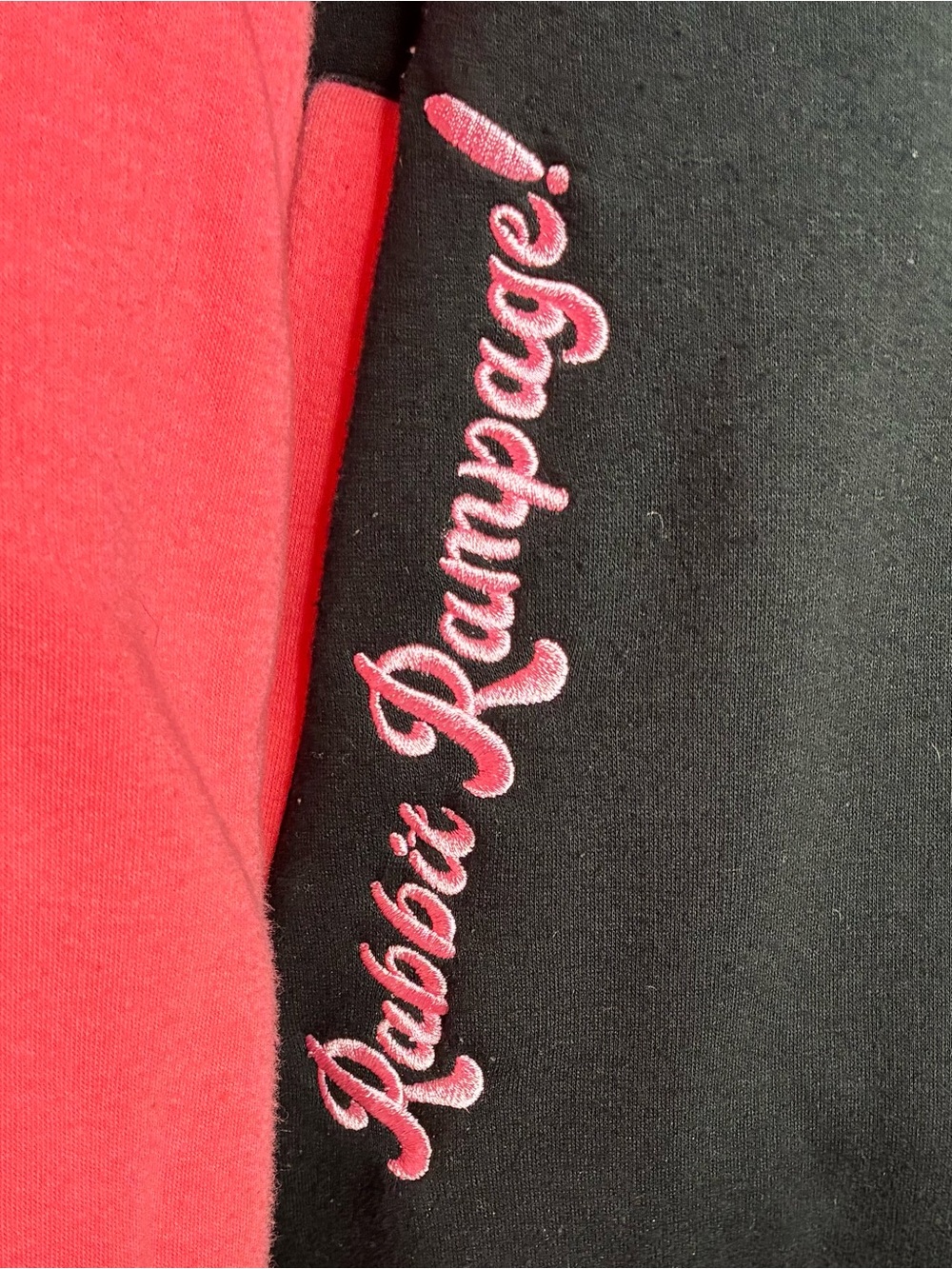 PUNKALOPI 2X Mugi Mart Creator Merch Bomber Jacket Rabbit “Class of Chaos” Pink - Picture 7 of 10